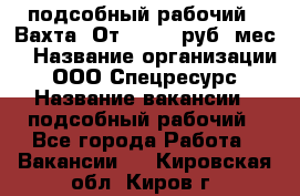 подсобный рабочий . Вахта. От 30 000 руб./мес. › Название организации ­ ООО Спецресурс › Название вакансии ­ подсобный рабочий - Все города Работа » Вакансии   . Кировская обл.,Киров г.